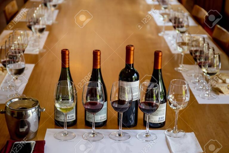 SANTIAGO, CHILE - NOV 29, 2018: Wine degustation in Concha y Toro Mansion and Vineyard
