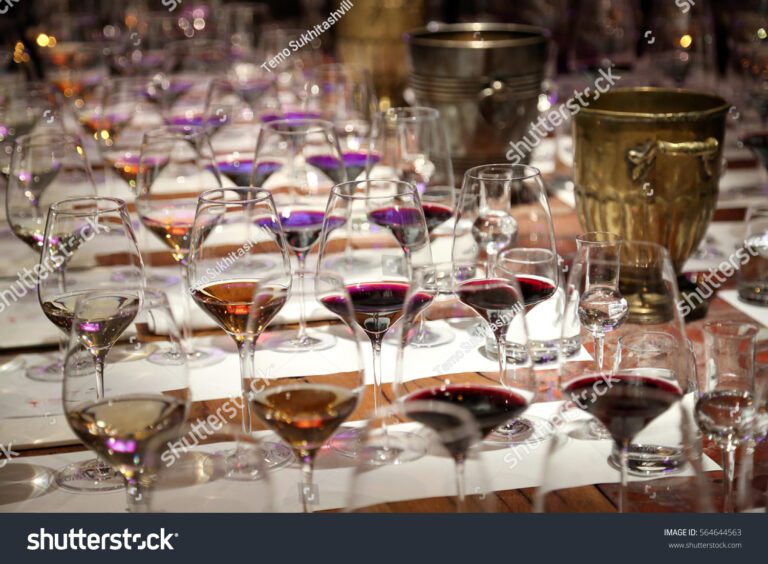 stock-photo-wine-degustation-564644563