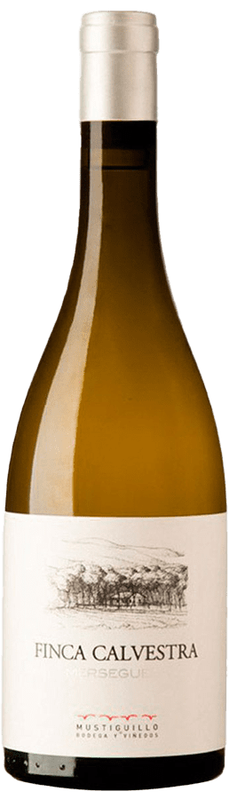 Finca Calvestra Blanco Mustiguillo 2021