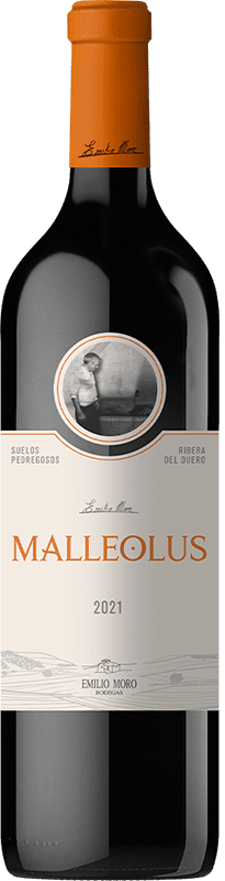 Clubia malleo 2018