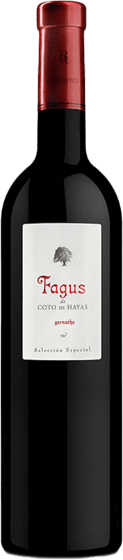 Fagus de Coto de Hayas 2019