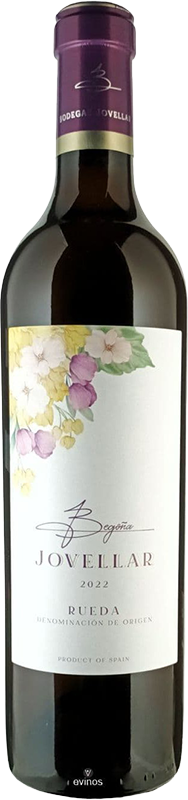 Begoña Jovellar Verdejo