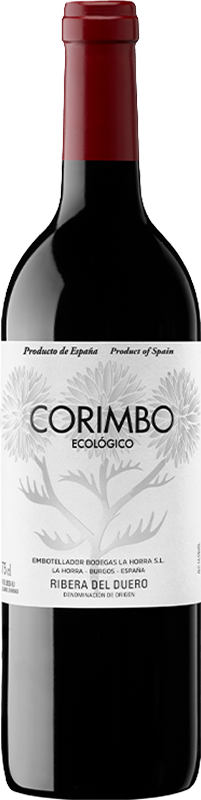 Corimbo 2022